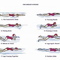 Breaststroke Swimming Body Position