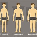 Endomorph Body Examples