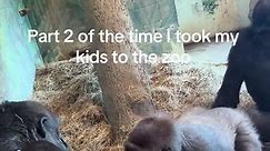 My kids thought the monkeys were being silly 🤪 #gorillatok #gorillas #zoo #zooadventures #zooanimals🐯🐵🐍🐼🐘 #fyp #fypシ゚viral #fyppppppppppppppppppppppp
