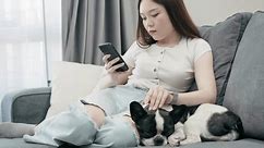 Asian teen girl using a smartphone while sitting on the couch with her cute dog
