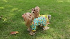 Dog Pajamas Large Sized Dog Boy Girl, Cotton Stretchable Pet Dog Pajamas Jammies Puppy Outfits for Large Dogs Female Male, Spring Summer Doggie Pjs Doggy Pajamas for Large Dogs (Peach Pink, L)