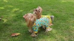 Dog Pajamas Large Sized Dog Boy Girl, Cotton Stretchable Pet Dog Pajamas Jammies Puppy Outfits for Large Dogs Female Male, Spring Summer Doggie Pjs Doggy Pajamas for Large Dogs (Peach Pink, L)