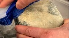 Cleaning Mouldy Cheese