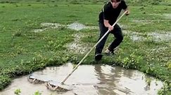 Catching fish with a dustpan Do you like this kind of fishing tool? Real outdoor It turns out th