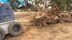 Skid Steer Stump Removal Bucket - Himac Attachments