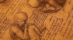Close up of Old anatomy drawings by Leonardo Da Vinci