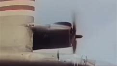 Why Did WW2 Fighters Have White Stripes (Restored WW2 Footage) #army #military #navy #usarmy #usmilitary #usnavy | Rise Above