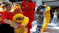 Sydney, Australie - 18 janvier 2024 : Enfants se familiarisant avec les mini lions chinois pendant l'Nouvelle année chinoise ou la fête du printemps. Aide de l'organisateur. Manifestation culturelle publique. 4k30.