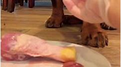 Breakfast RAW MUKBANG ASMR ðŸ˜‹ #rawdogfooddiet #asmr #RawMeatDiet #KaiTheRottie #mukbang