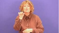 Watch how to sign 'template' in British Sign Language
