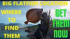 Big Flat fish Location in Assassins Creed Valhalla