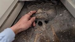 Couple find medieval gargoyle imp hiding in their bathroom