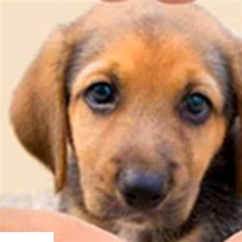 A qué hora y cuándo ver la alineación de 6 planetas en agosto del 2025 ...