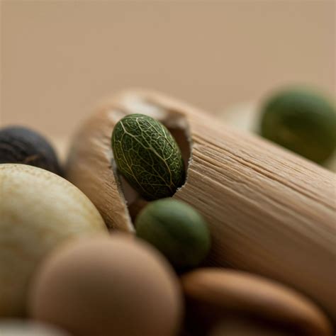 What Is the Role of the European Union Ecolabelling Board? → Learn