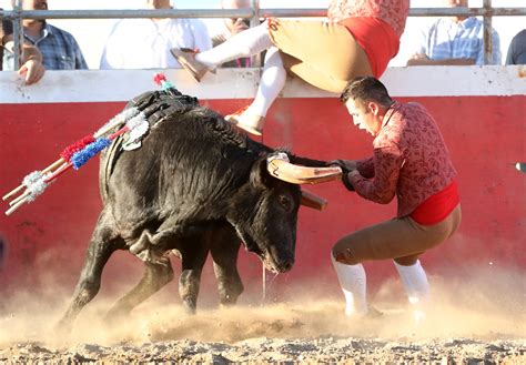 Bloodless bullfights debut at StanCo Fair - Turlock Journal