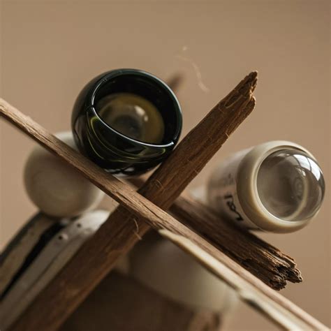 Can Chemical Recycling Convert Synthetics into Biological Nutrients? → ...