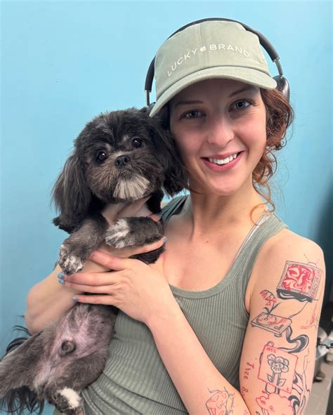 Dog Days Grooming (@dogdaysgroomingllc) • Instagram photos and videos