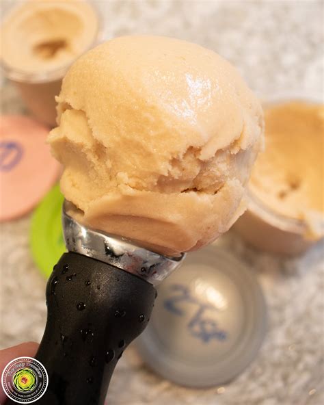 Ninja Creami SCOOPABLE Nutter Butter Protein Ice Cream - The Tasty ...