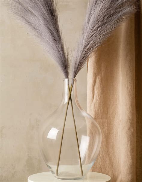 Amazon.com: 15" Large Glass Floor Vase for Pampas Grass Plants Flowers ...