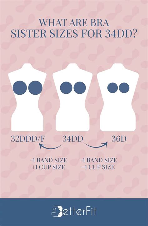 How Big Is a 34DD Bra Cup Size? | TheBetterFit