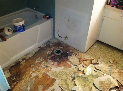How To Replace A Rotted Bathroom Floor at Jorge Holyfield blog