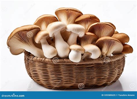 Generated Image Harvested Mushrooms Stock Image - Image of agriculture ...