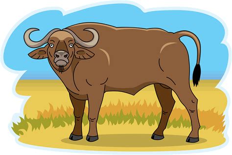 Free Buffalo, Download Free Buffalo png images, Free ClipArts on ...