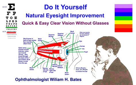 NATURAL EYESIGHT IMPROVEMENT-Bates Method- FREE 'Do It Yourself' Training for Perfect, Clearer ...