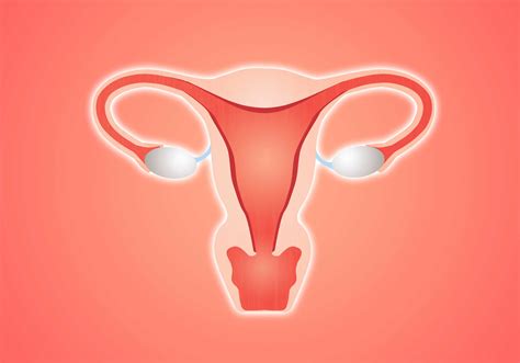 Can Ovarian Cysts Cause Infertility?