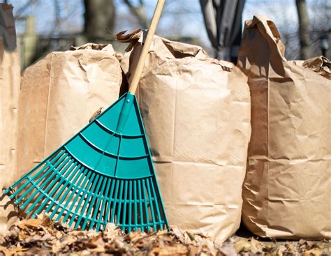 Yard waste | Rice County, MN