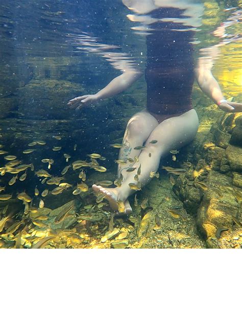 Brazilian Adventure (@brazilianadventure) - Urlebird