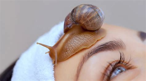 Wondering If Snail Mucin Is Beneficial To The Skin? Here's All You Need To Know