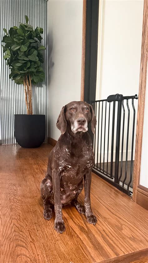 FairyBaby.Official (@fairybaby.official) • Instagram photos and videos