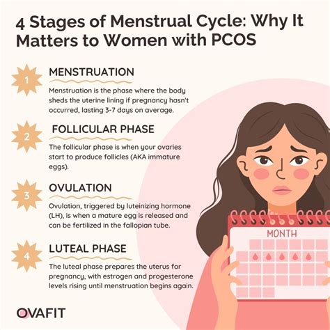 Pcos And Menstrual Cycle Understanding Polycystic Ovary Syndrome BPJ