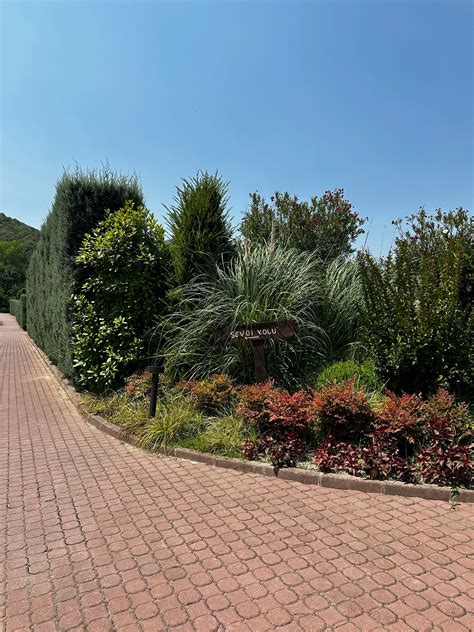 Slow+Penetration+Gif Photos, Download The BEST Free Slow+Penetration+Gif Stock Photos & HD Images