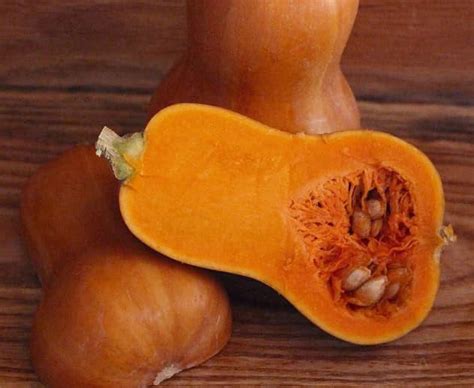 Honeynut Squash Seeds for Planting (10 Seeds) - Grow Dwarf Butternut ...