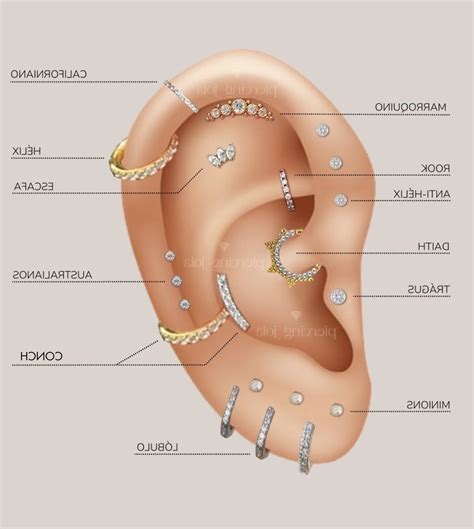 Pin by Raya_21 on Piercing chart | Ear piercings chart, Ear piercings ...