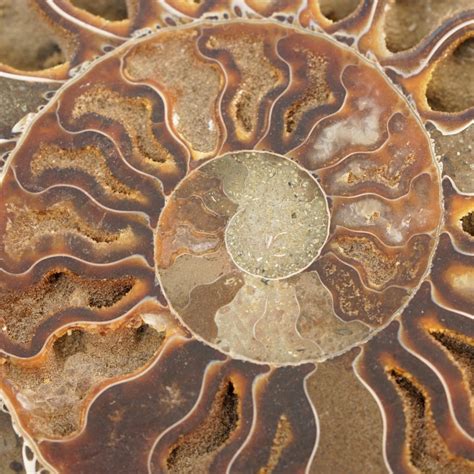 The Schumann Resonances: Understanding Your Sense of Connection to the ...