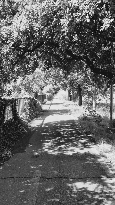 Stepmom+And+Son+Alone+In+The+Kitchen Videos, Download The BEST Free 4k ...