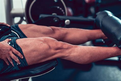 Leg Muscles Quiz - Doquizzes