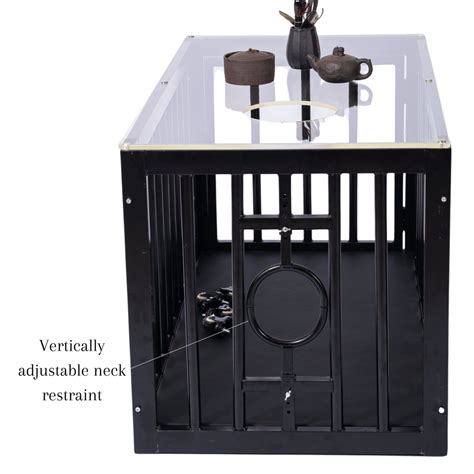 Roomsacred Black Steel Coffee Table BDSM Cage with Black Padded Floor