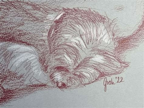 Nude With Dog, Naked Woman, Sleeping Dog, Female Representation, Original Drawing With Colored ...