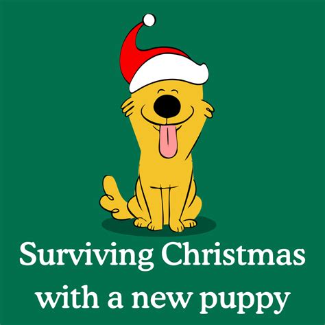 Why Is My Dog Is Jerking? 9 Reasons Why - Zigzag