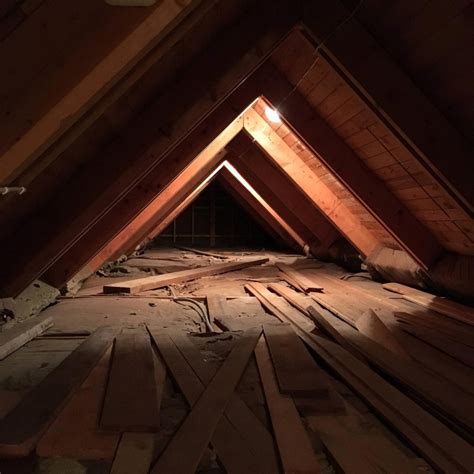 How To Remove Mold From Plywood In Attic | Storables