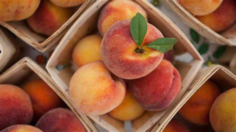 10 Surprising Health Benefits And Uses Of Peaches