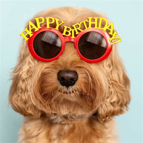 Queensryche Birthday Memes