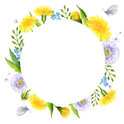 watercolor wreath with summer field flowers, hand draw round frame of yellow dandelions and blow ...