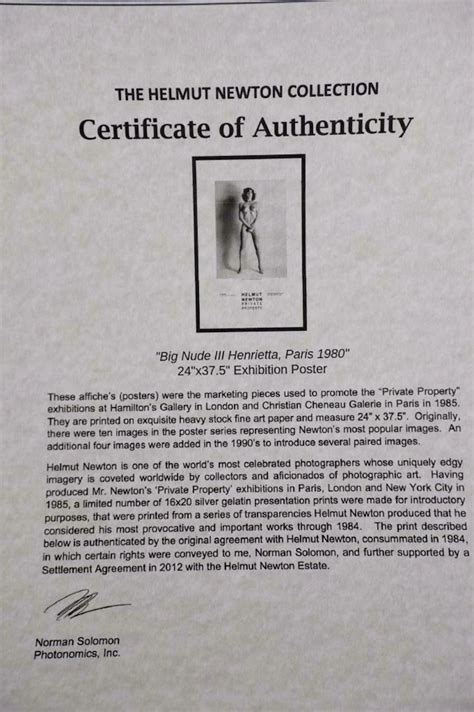Helmut Newton - Big Nude III, Henrietta Verkocht | Kunstveiling.nl