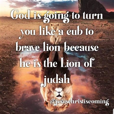 Do no be afraid | Lion of judah, Jesus, Judah