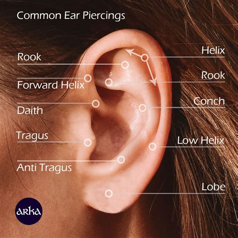 Ear Piercings Types